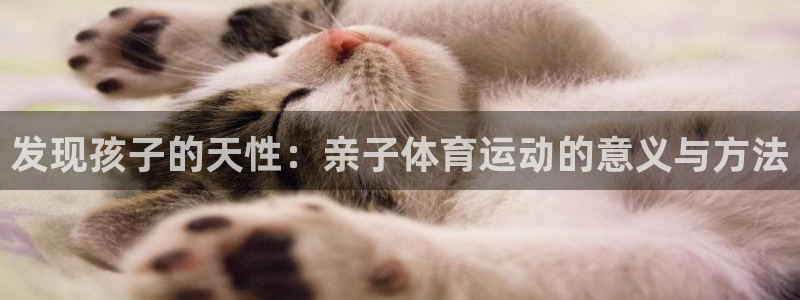 蚂蚁体育买的是正品吗：发现孩子的天性：亲子体育运动的意义与方法