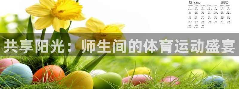 蚂蚁体育下载安装：共享阳光：师生间的体育运动盛宴