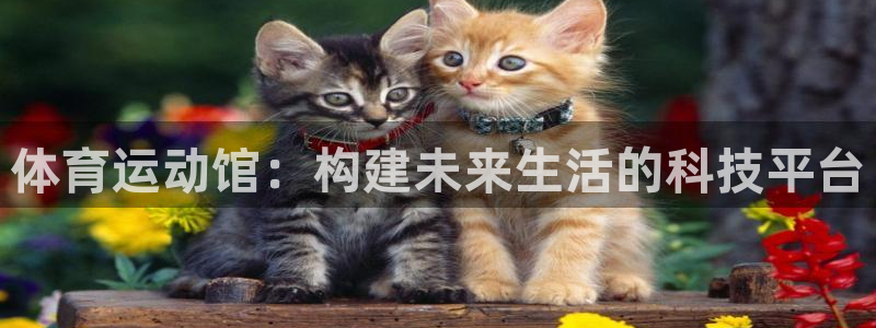 蚂蚁体育要钱吗：体育运动馆：构建未来生活的科技平台