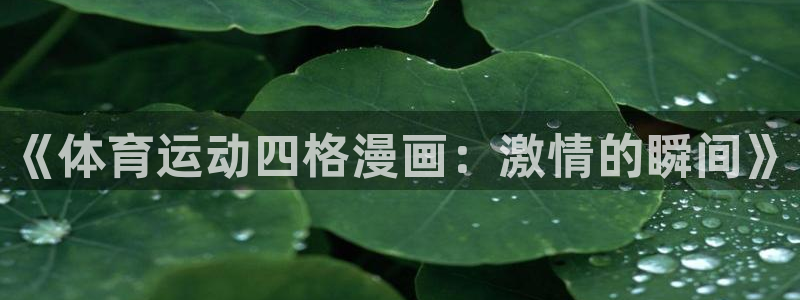蚂蚁体育网店是正品吗：《体育运动四格漫画：激情的瞬间》
