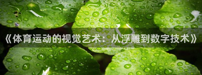 蚂蚁体育在线观看：《体育运动的视觉艺术：从浮雕到数字技术》