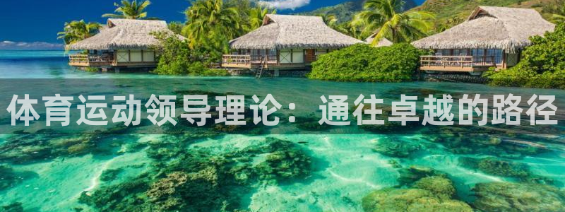 蚂蚁体育沈阳音玲：体育运动领导理论：通往卓越的路径