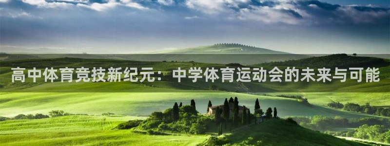 蚂蚁体育网页版登录