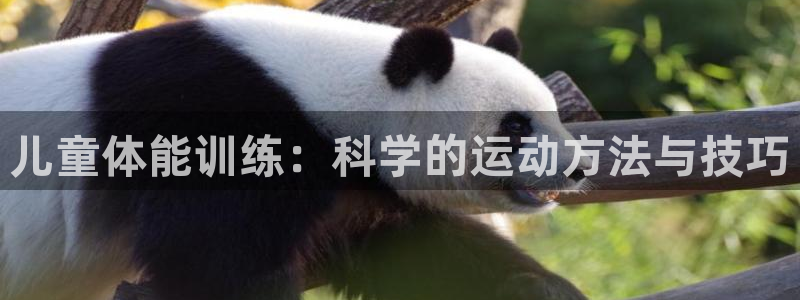 蚂蚁体育免费