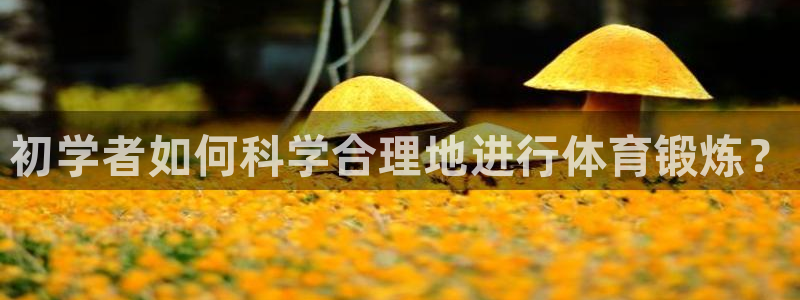 蚂蚁体育要付费观看吗?：初学者如何科学合理地进行体育锻炼？