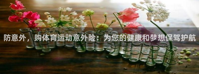 蚂蚁体育网页版登录：防意外，购体育运动意外险：为您的健康和梦想保驾护航